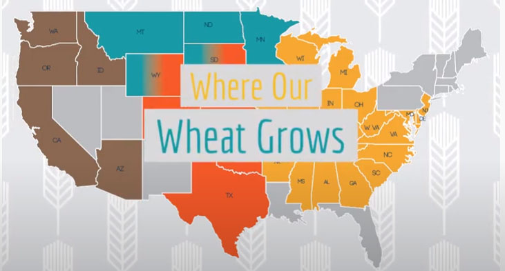 Where Our Wheat Grows